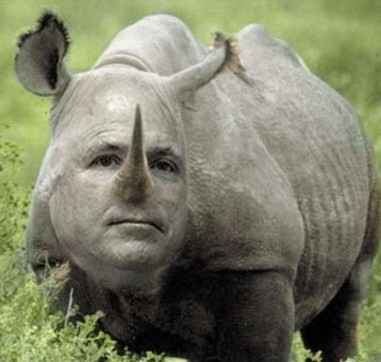 mccain_rino