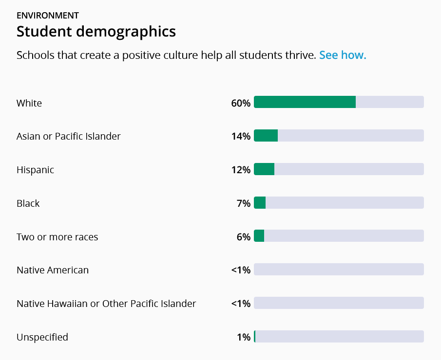 Stone-Bridge-High-Demographics-in-Ashburn,-VA
