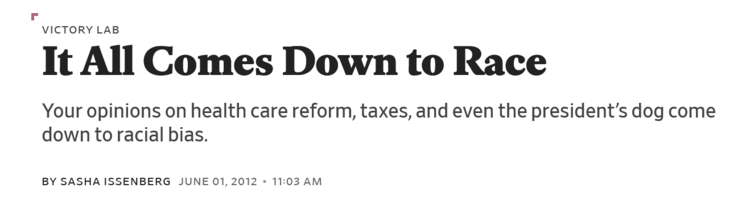 Your_Opinions_on_Health_Care_Reform__Taxes__and_Even_the_President_s_Dog_Come_Down_to_Race