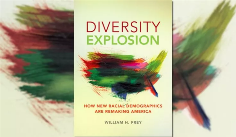 Screenshot_2022-01-19_at_17-16-44_12-5-diversity-book_webp__WEBP_Image__737___431_pixels_