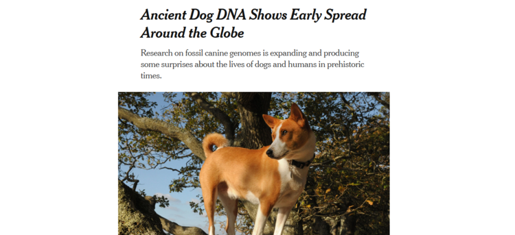 Screenshot_2020-10-29_Ancient_Dog_DNA_Shows_Early_Spread_Around_the_Globe