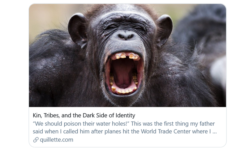 Screenshot_2020-12-06__19__https_quillette_com_2020_11_22_kin-tribes-and-the-dark-side-of-identity_-_Twitter_Search_Twitter