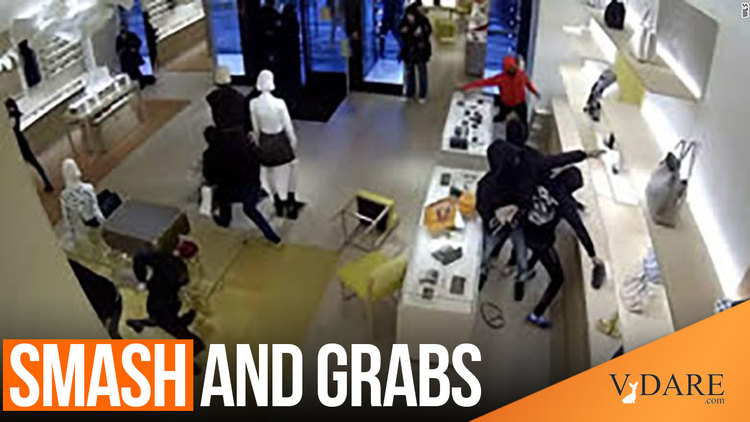 VDARE-smash-and-grab