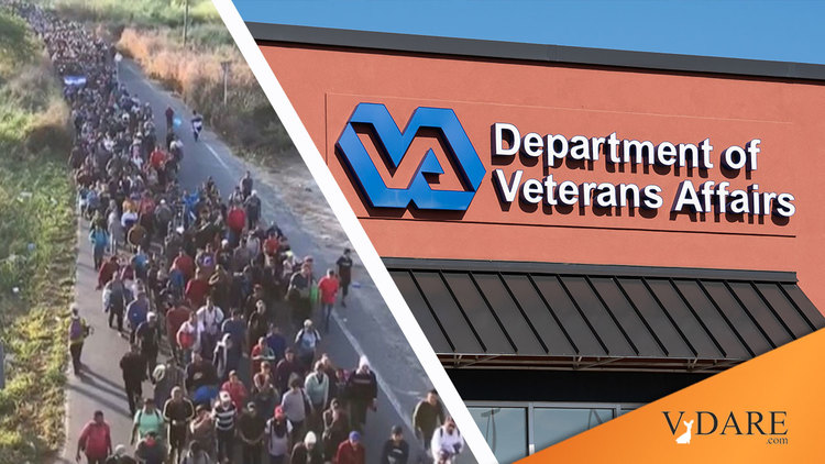 VDARE-va-illegals