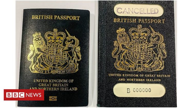 _111132932_bluepassport_1_